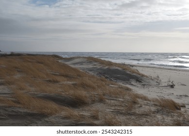 sunset, Baltic Sea, Curonian Spit, breakwaters, driftwood, waves, sunset sky, seascape, sea, coast, sun rays, evening light, clouds at sunset, romance of the sea, nature, tranquility, reflection of th - Powered by Shutterstock