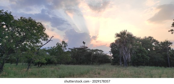 Sunset In Baluran Wild Park Banyuwangi Indonesia