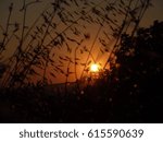 Sunset in the barn 