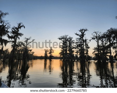 Sunset in the bayou with cypress trees