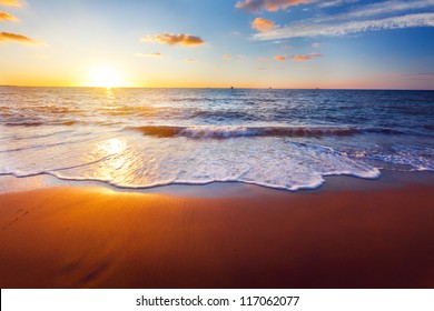 sunset and beach - Shutterstock ID 117062077