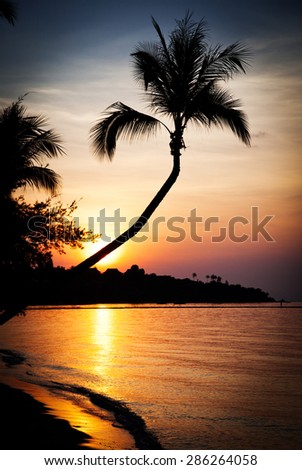 sunset beach
