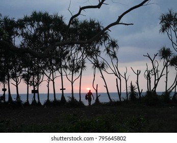 Sunset beach behind the tropical tree