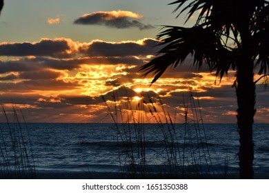 Sunset With Beach Grass Silhouette