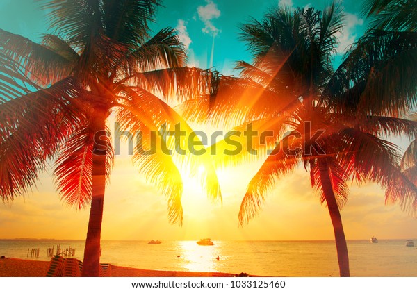 夕焼けのビーチとヤシの木と美しい空の風景 旅行 観光 休暇のコンセプトの背景 メキシコ カリブ海の島の楽園の風景 オレンジの日差しの背景に美しいココナツヤシのシルエット の写真素材 今すぐ編集