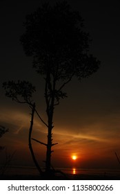 sunset, beach, tree , sun ,