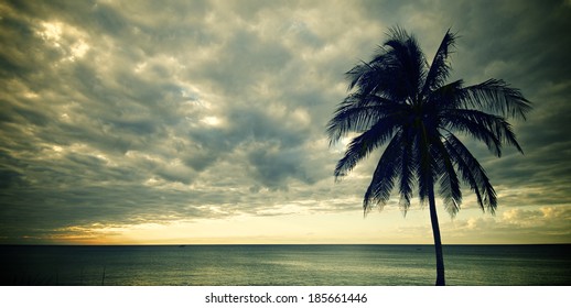 Sunset At The Beach Tropical Maria La Gorda, Guanahacabibes Peninsula In Cuba