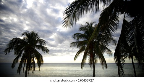 Sunset At The Beach Tropical Maria La Gorda, Guanahacabibes Peninsula In Cuba