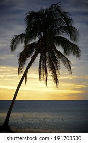 Sunset At The Beach Tropical Maria La Gorda, Guanahacabibes Peninsula In Cuba