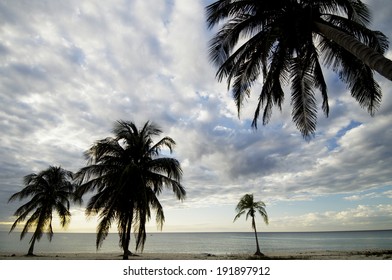 Sunset At The Beach Tropical Maria La Gorda, Guanahacabibes Peninsula In Cuba