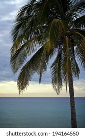 Sunset At The Beach Tropical Maria La Gorda, Guanahacabibes Peninsula In Cuba