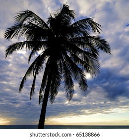 Sunset At The Beach Tropical Maria La Gorda In Guanahacabibes Peninsula, Cuba