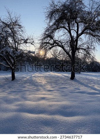 Sunset in beatiful winter landscape