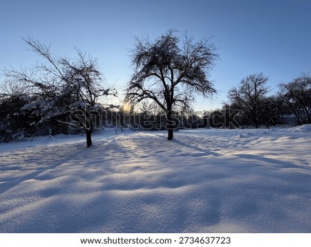 Sunset in beatiful winter landscape