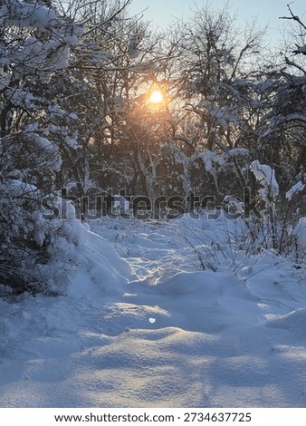 Sunset in beatiful winter landscape