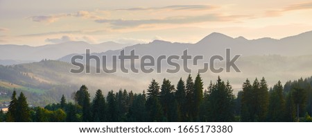 sunset, beautiful cloudy sky in carpathian mountains, summer landscape, spruces on hills
