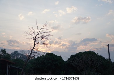 Sunset With Beautiful Flowers With The Semester Break