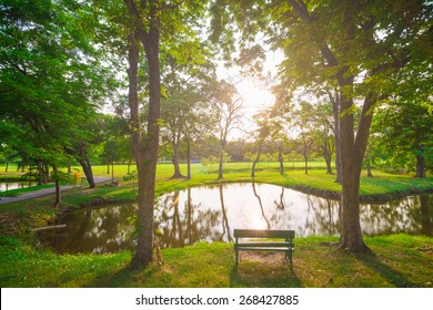 Sunset In Beautiful Park, City Park Under Sunny Light