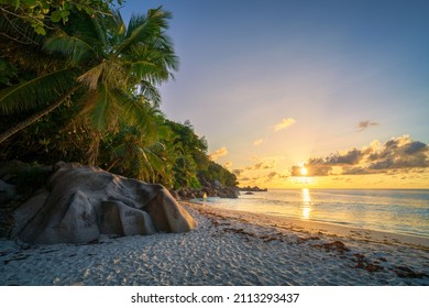 sunset at beautiful tropical beach anse georgette on praslin island on the seychelles
