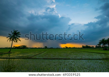sunset before the rain
