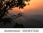 Sunset behind Branches