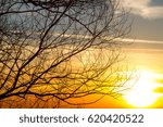 Sunset behind the forest