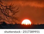 A sunset behind a forest with spruces and a tree in the foreground with the Nikon Z 800mm on a Z9 as a test shot to check the backlight behavior and the contrast ratio