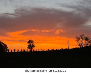 sunset behind hill with trees