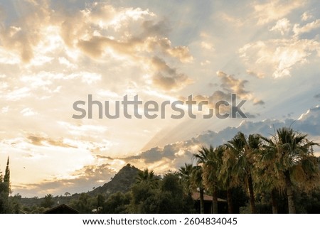 Sunset behind the mountain, surrounded by lush greenery and palm trees. Bright reflections of the sun's rays across the sky.