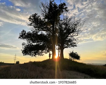 Sunset behind a nice tree