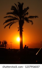 sunset behind a palm tree