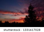 Sunset Behind the Tree