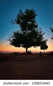 The sunset behind a tree