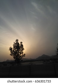 Sunset Behind the Tree