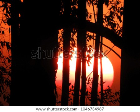 Similar – Image, Stock Photo silhouettes before glowing sun