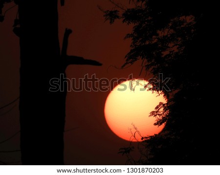 Similar – Image, Stock Photo silhouettes before glowing sun