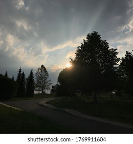 Sunset behind a tree in a park