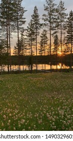 Sunset behind the trees and lake