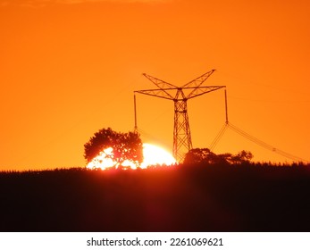 sunset behind trees and a telecommunication antenna