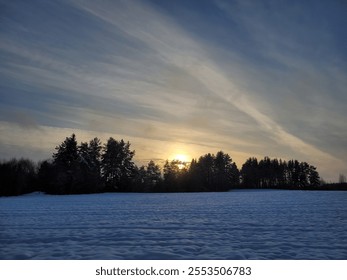 Sunset behind trees in winter time