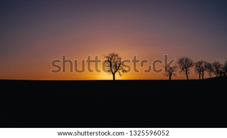Sunset behing the tree