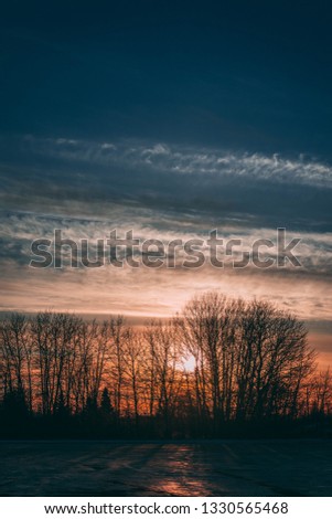 Sunset behing trees