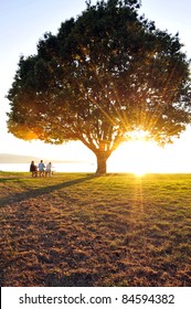 Sunset In Bellingham Washington