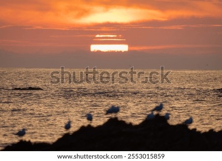 Sunset between clouds with seagulls as spectators. Mijas Costa, Malaga, Spain