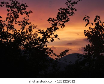 Sunset between the trees