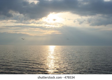 sunset with birds