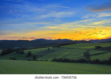 Sunset And Birds Flying Above 