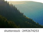 sunset in the black forest