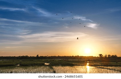 Sunset blue sky with some cloud and birds