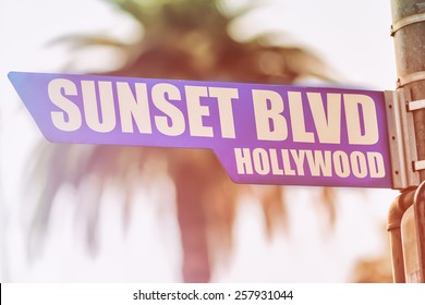 Sunset Blvd Hollywood Street Sign. A Street Sign Marking Sunset Blvd In Hollywood, California. Backed By A Palm Tree With A Sunset Flare.